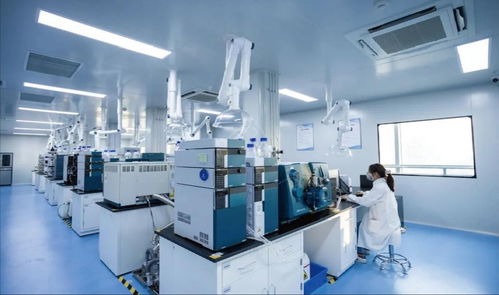 中原科技城 生命科學(xué)產(chǎn)業(yè)新引擎，技術(shù)服務(wù)驅(qū)動未來健康新變革